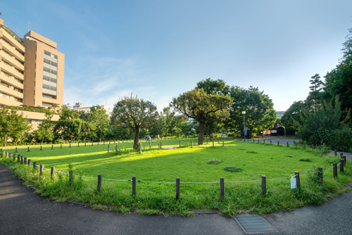 造園・造成工事