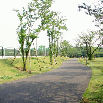 大泉多目的公園（練馬）